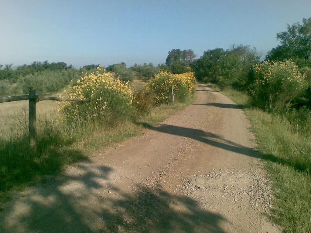 Country house Podere Campovecchio Rapale