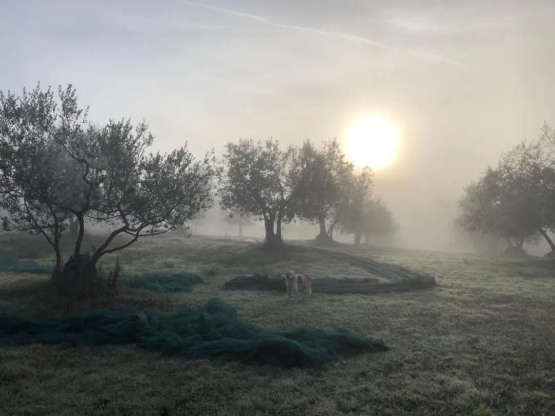 Podere Campovecchio Rapale